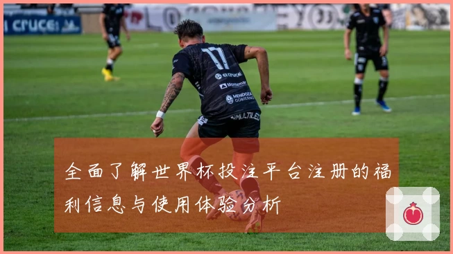 全面了解世界杯投注平台注册的福利信息与使用体验分析