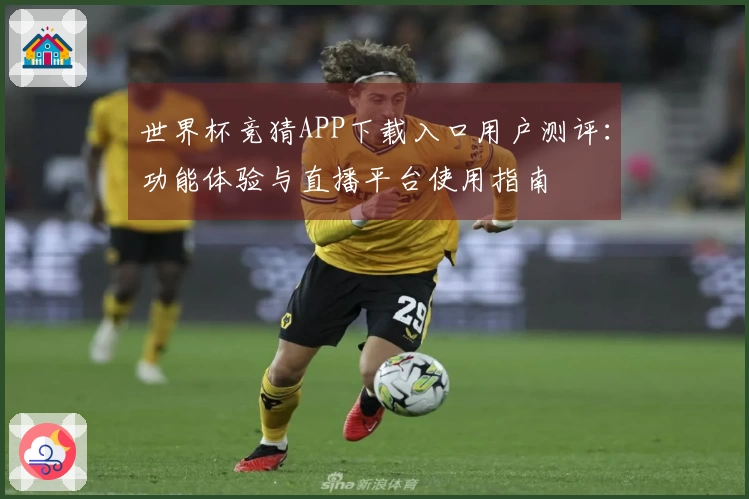 世界杯竞猜APP下载入口用户测评：功能体验与直播平台使用指南