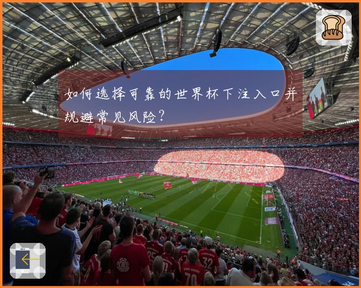 如何选择可靠的世界杯下注入口并规避常见风险？