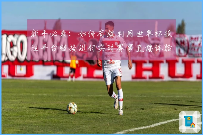 新手必看：如何有效利用世界杯投注平台链接进行实时赛事直播体验