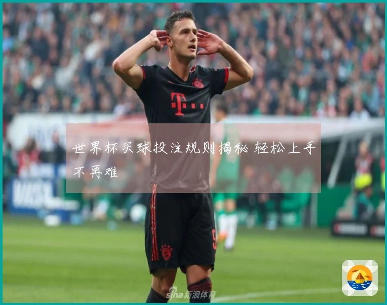 世界杯买球投注规则揭秘 轻松上手不再难