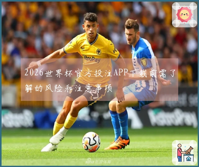 2026世界杯官方投注APP下载前需了解的风险和注意事项