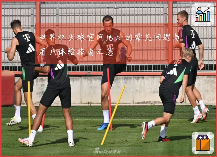 世界杯买球官网地址的常见问题与用户体验指南汇总