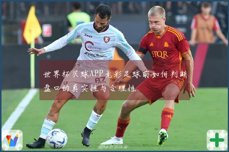 世界杯买球APP竞彩足球前如何判断盘口的真实性与合理性