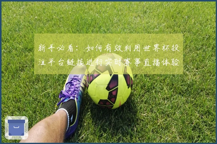 新手必看:如何有效利用世界杯投注平台链接进行实时赛事直播体验