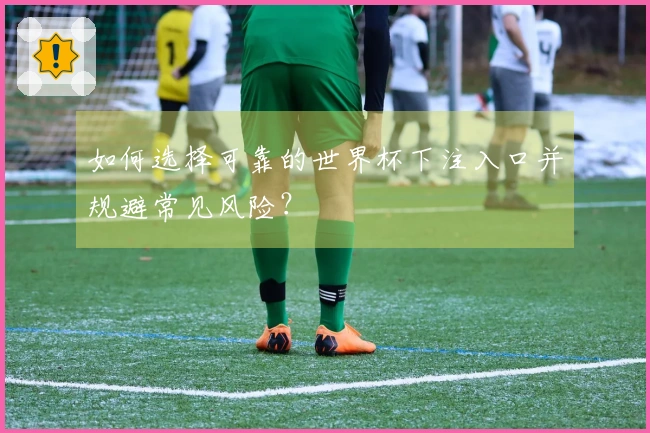 如何选择可靠的世界杯下注入口并规避常见风险?